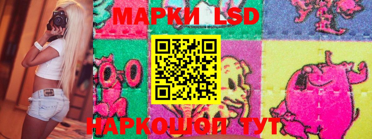 Наркотические марки 1,8мг  Вход с VPN  Наркотические марки 1,8мг  Гудермес 