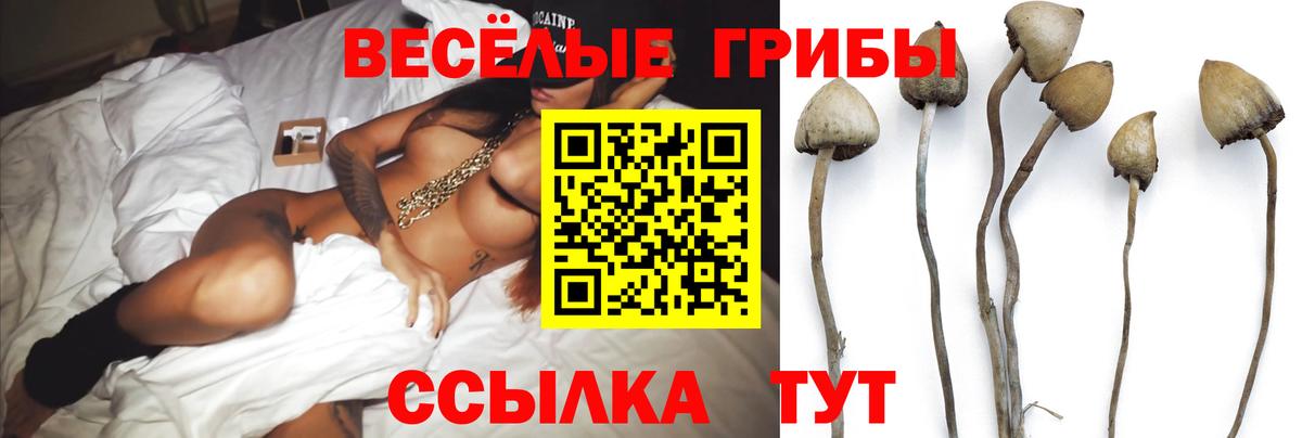Галлюциногенные грибы Magic Shrooms  Вход с VPN  Гудермес  Галлюциногенные грибы Cubensis 